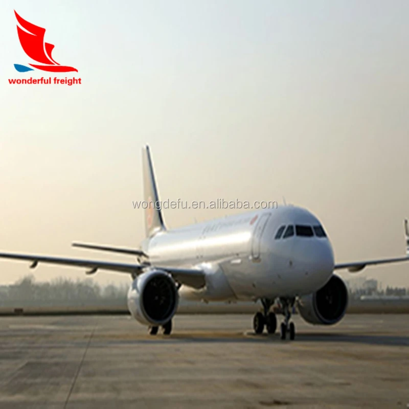 DHL air freight rates china to shipping door to door service lcl ocean transportation to South africa professional express