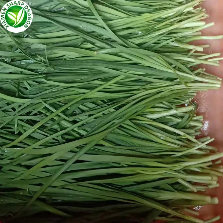 Chinese Nira Garlic Chives Asian Leaf Leek Leaves Chopped Minced Sliced Dice Slice Wholesale Price Organic Freeze Freezing Bulk