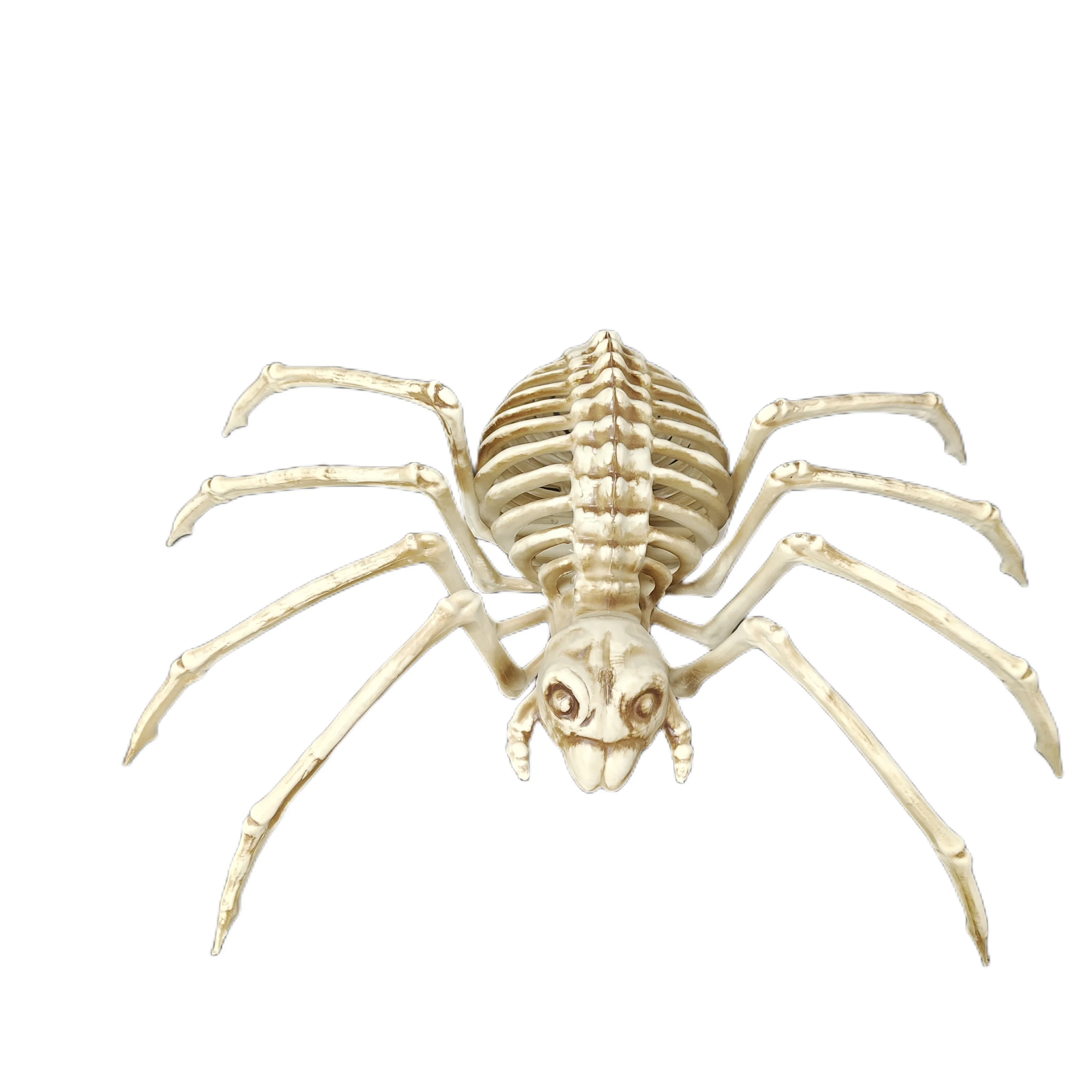 Animal Skeleton Halloween Props Simulation Spider Skeleton Halloween Horror Plastic Skeleton Spider