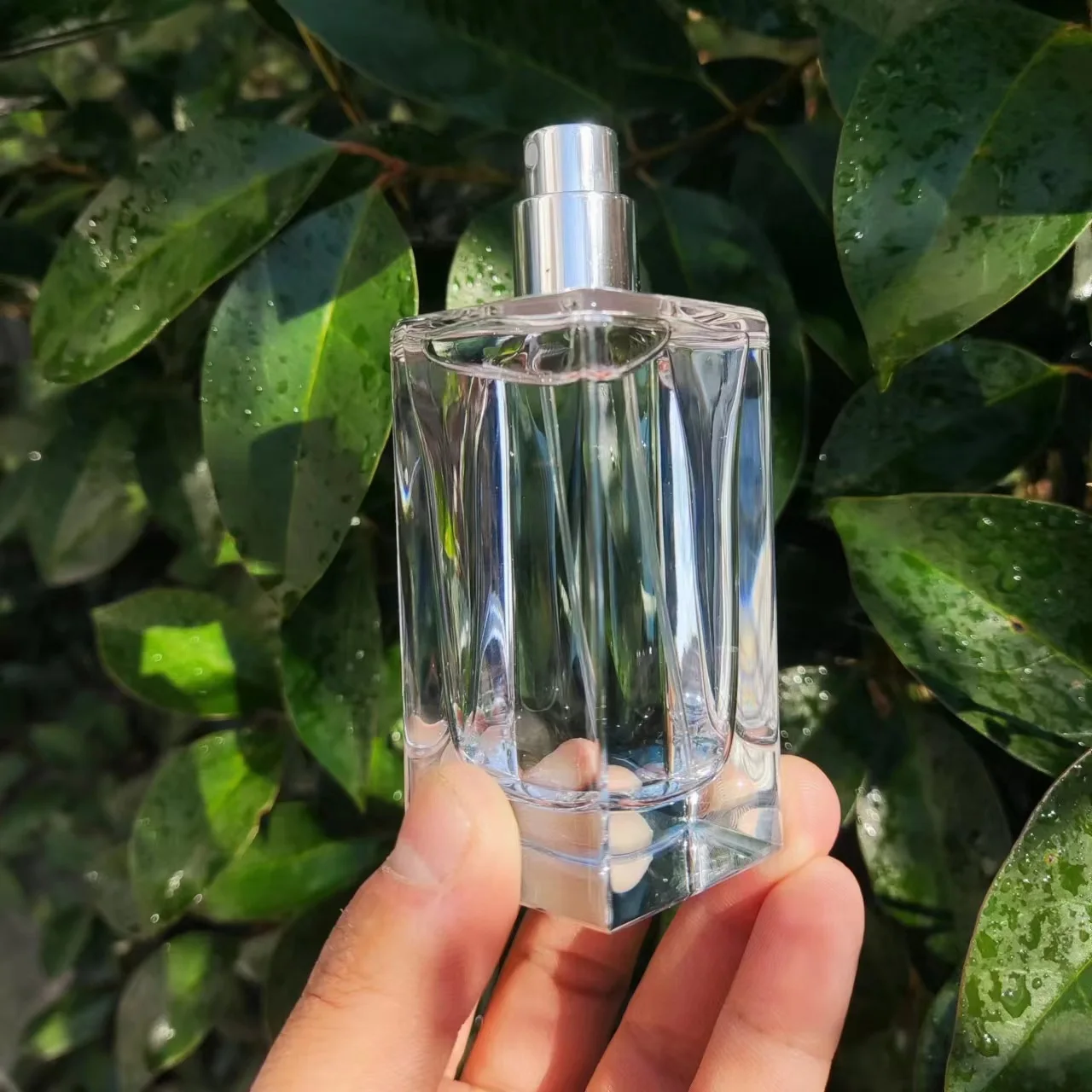 Clear Luxury 50ml Square Empty Polished Cosmetic Glass Perfume Bottle with Wooden Lids