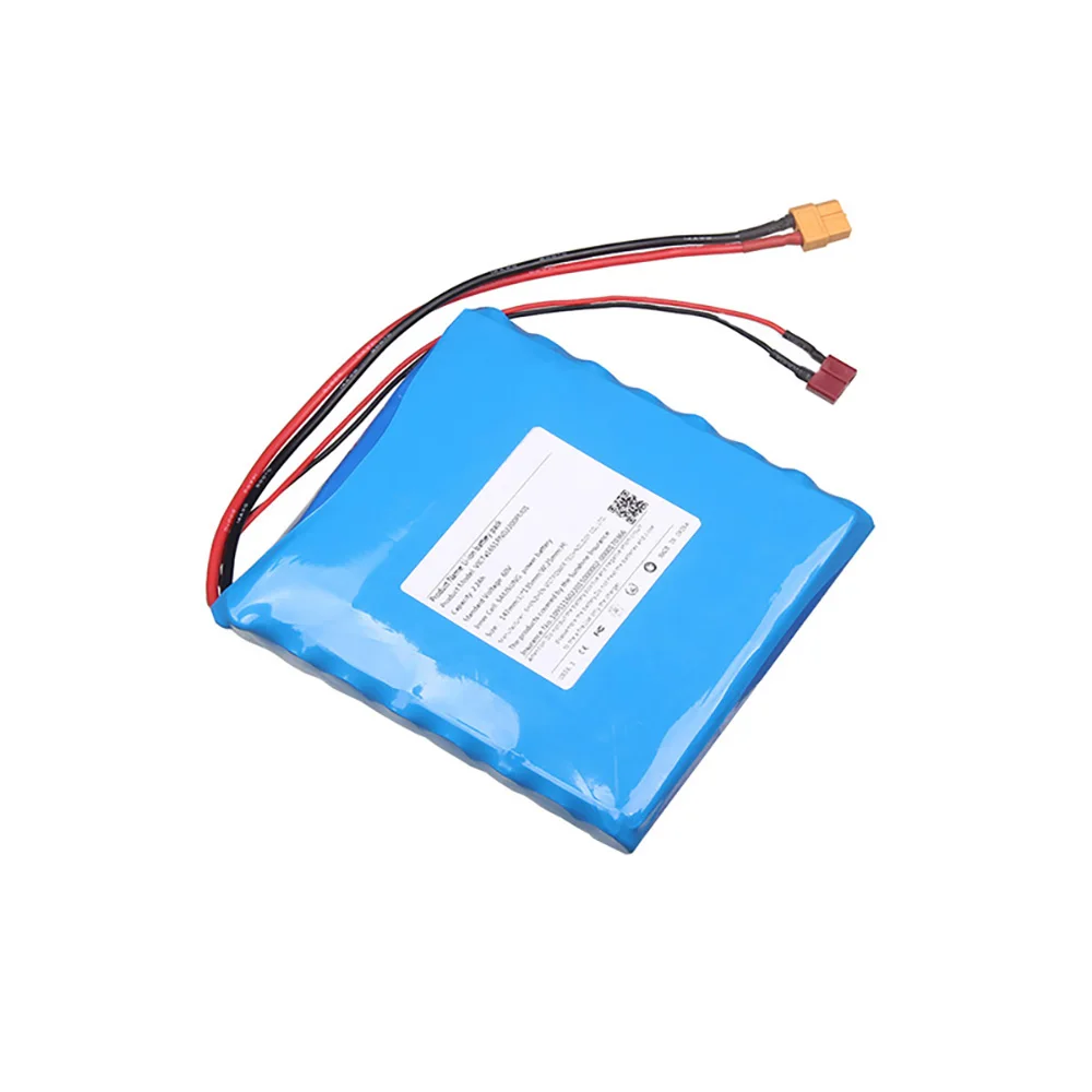 16S1P 18650 перезаряжаемые 60V 2.9Ah Одноколесный велосипед батареи с INR18650-29E и BMS литиевая батарея 60v