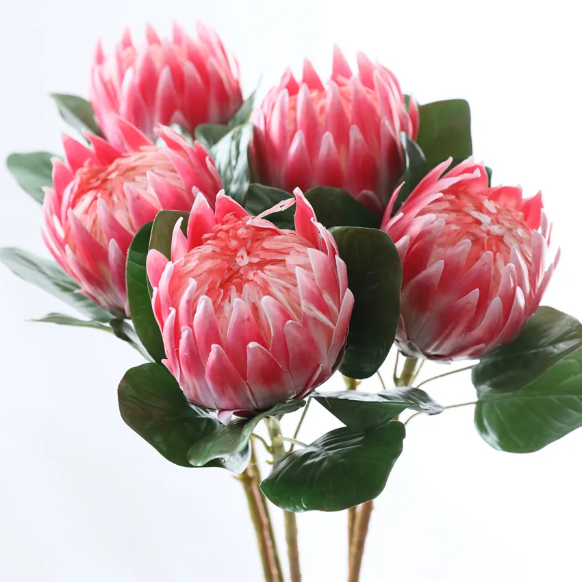 Flower king Brand factory direct wholesale King protea cynaroides artificial Hand Made protea flower giant artificial flower