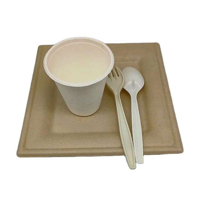 Food Container Drinking Disposable Pulp Compost Able Coffee Cup Biodegradable Sugarcane Bagasse Box with lid