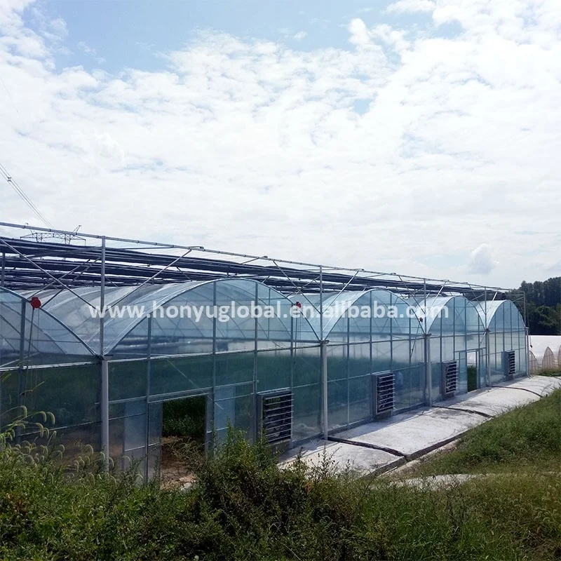 multi span film green house greenhouse structure commercial used greenhouse frames for sale