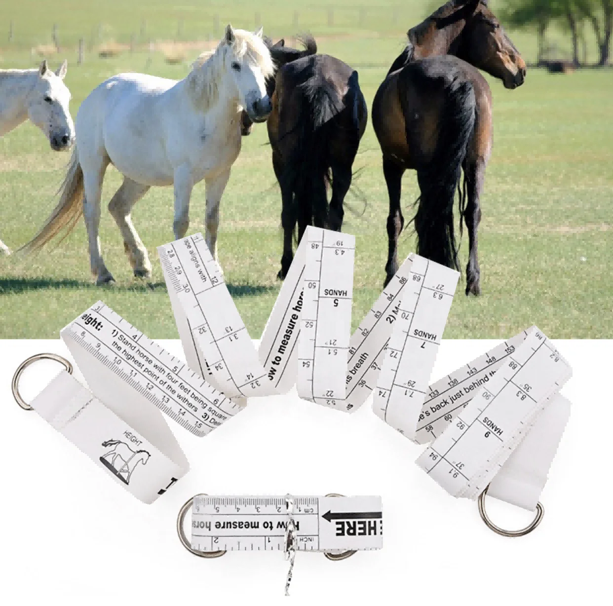 Equestrian Equipment Horse Height and Weight Band Tape Measurement for Racing