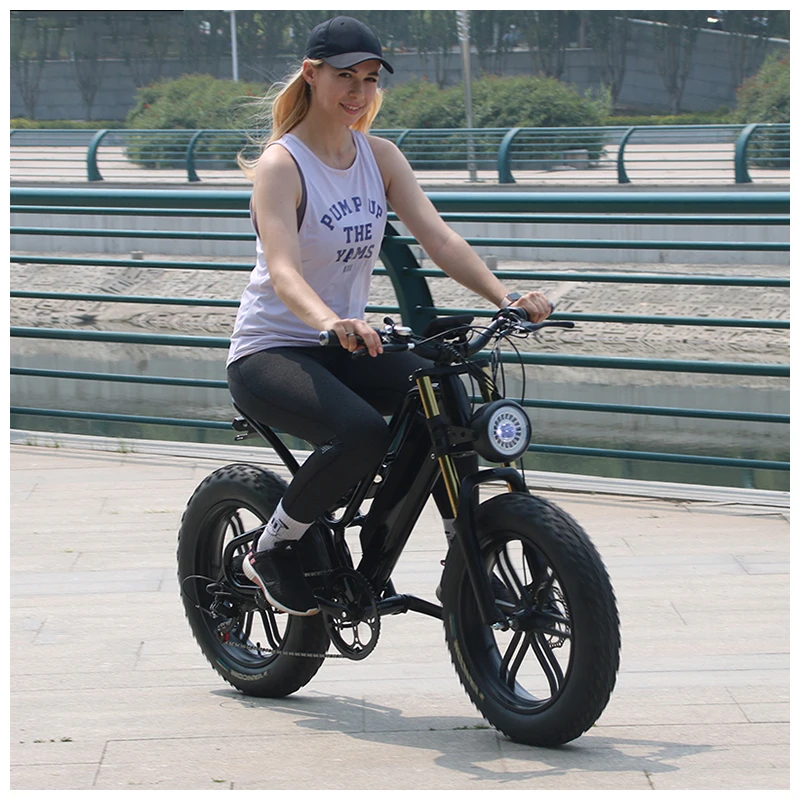 OEM 20 Inch 48V 750W Fat Tire Electric motorcycles Mountain dirt Bike Lithium Battery  hub motor  E-Bike Bicycle bike adult