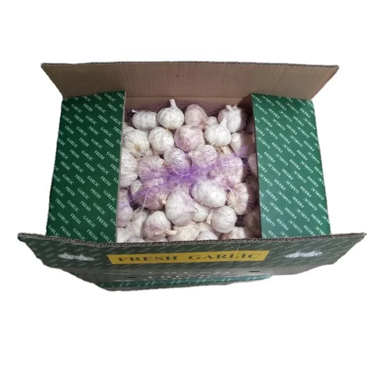 Wholesale Purple Single Clove Peel White Garlic G1 Garlic Seed Buyer for Sale