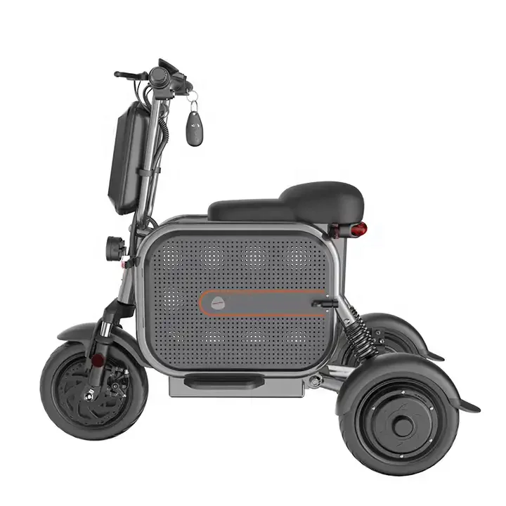 Outdoor 3 Wheel Electric Bicycle Scooter Electric Adult Mobility Disabled 3 Wheel Electric Bike for Adult