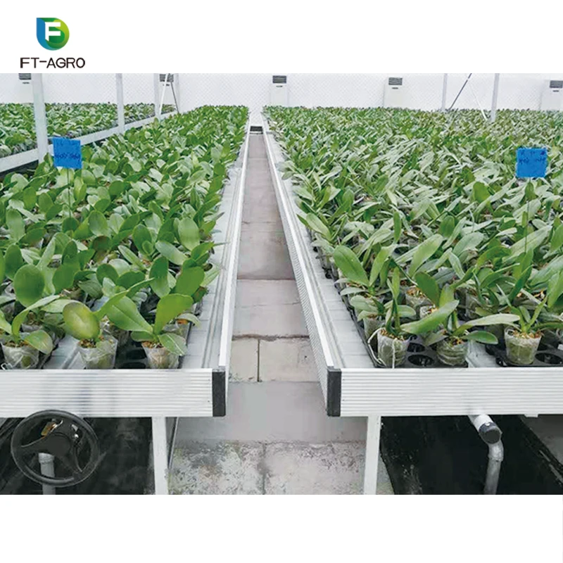 Plant nursery equipment seeding tray agriculture greenhouse