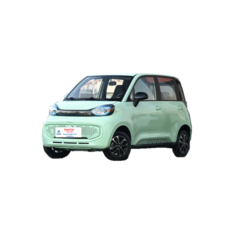 2021 Pocco DUODUO buy EV car for sale