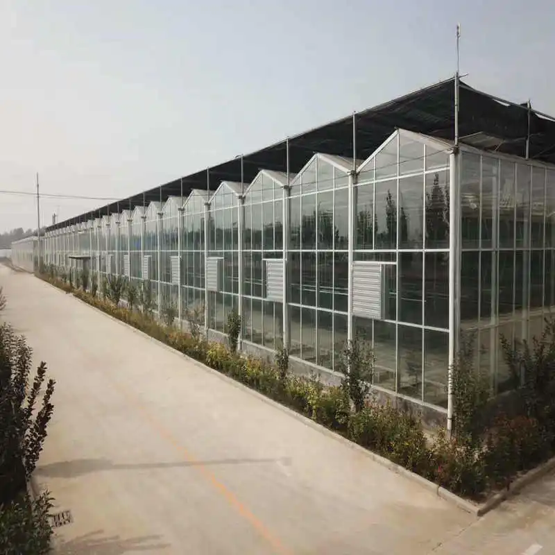 Glass vegetables greenhouse steel frame