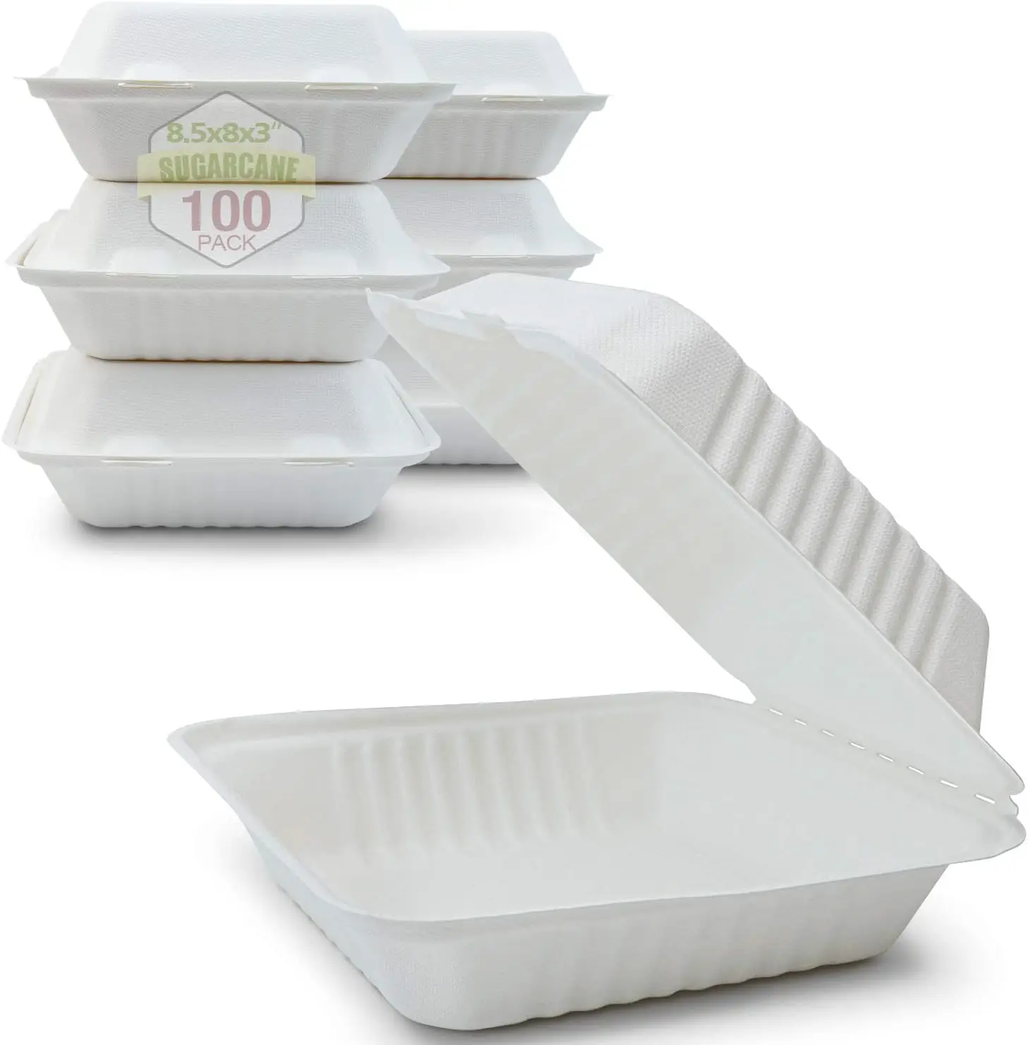 Wholesale Disposable Biodegradable food container sugarcane bagasse takeaway boxes tableware set disposable bagasse packaging
