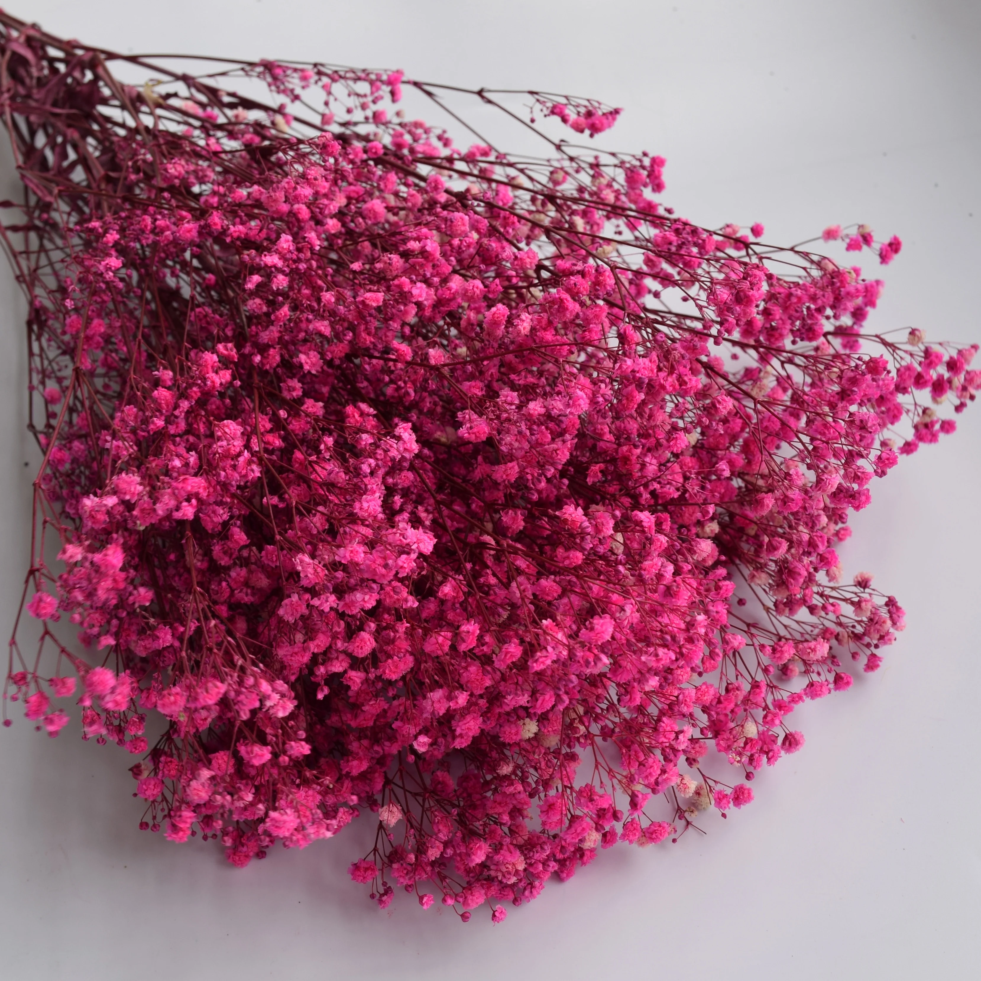 Cheap wholesale stabilized gypsophila preserved babysbreath star flower from China