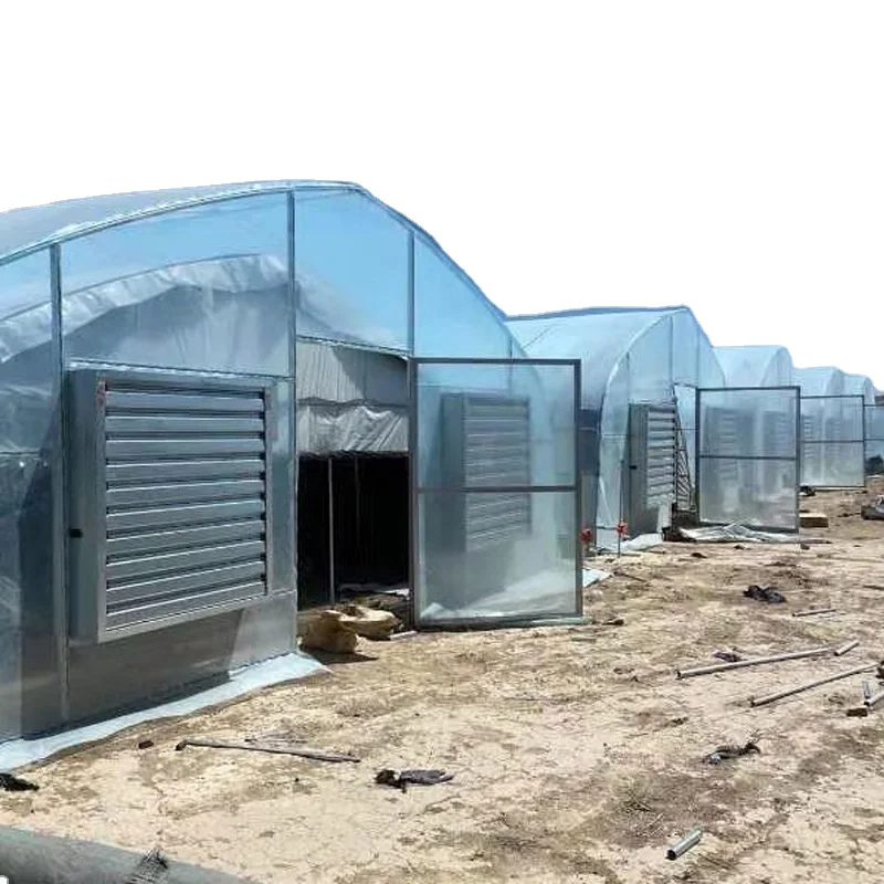 Однопролетная теплица SUNSGH полиэтиленовый туннель металлический каркас для посева овощей в индейке овощеводство
