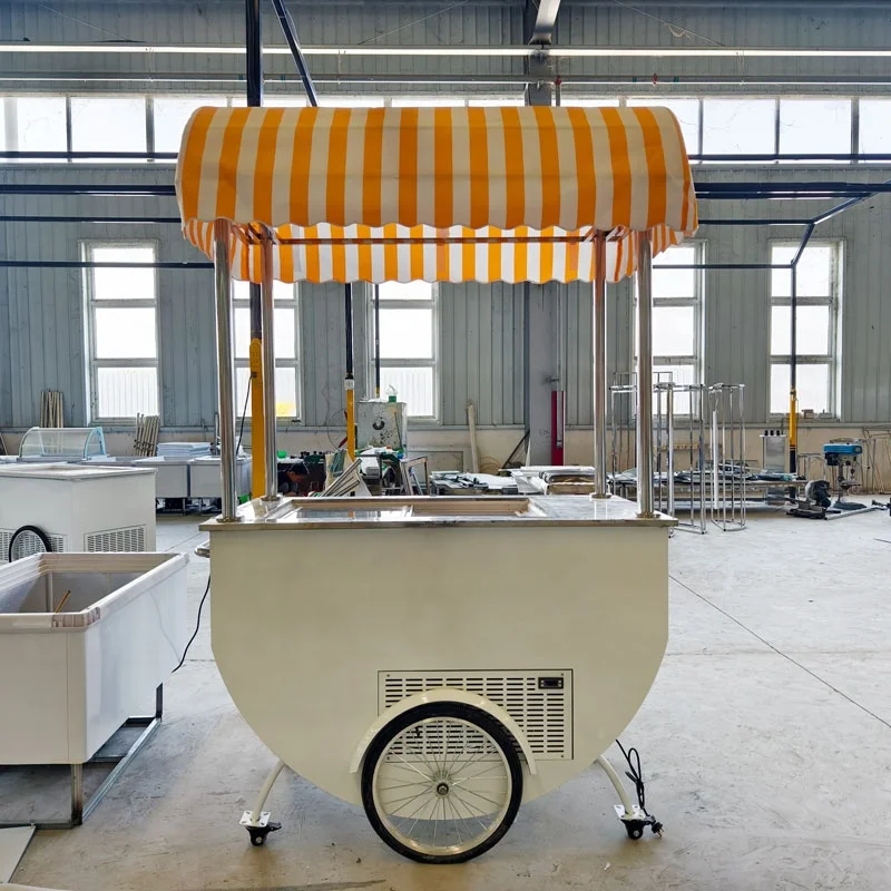 Gelato Ice Cream Truck Electric Bike Fashionable Hand Carts for Selling Fruit Juice on The Street Food Machine Restaurant 6 Pots