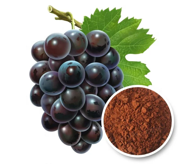 
Natural planting base supply grape seed extract Proantocyanidins(OPC) Polyphenols UV-VIS 