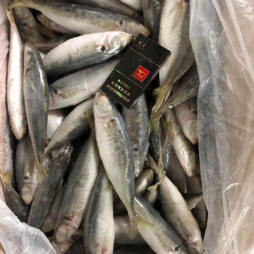 Замороженная круглая скумбрия, тайский рынок