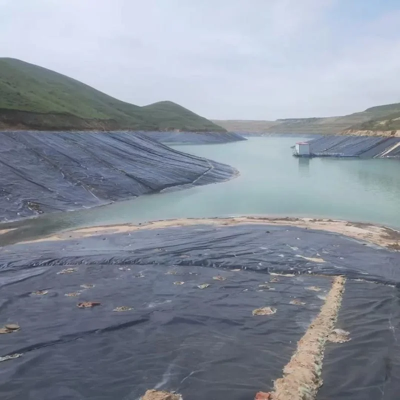 Белая черная зеленая синяя гладкая текстурированная водостойкая геомембрана для плотины подводка пруда с креветками на ферме в Кении