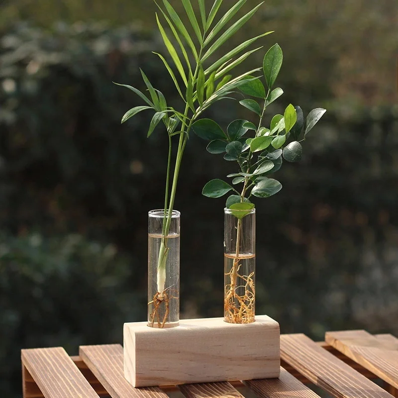 Modern test tube flower vase with wooden frame