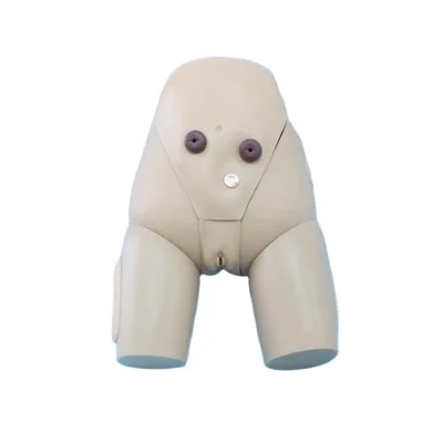 Женский симулятор катетеризации уретры BIX-H70/3