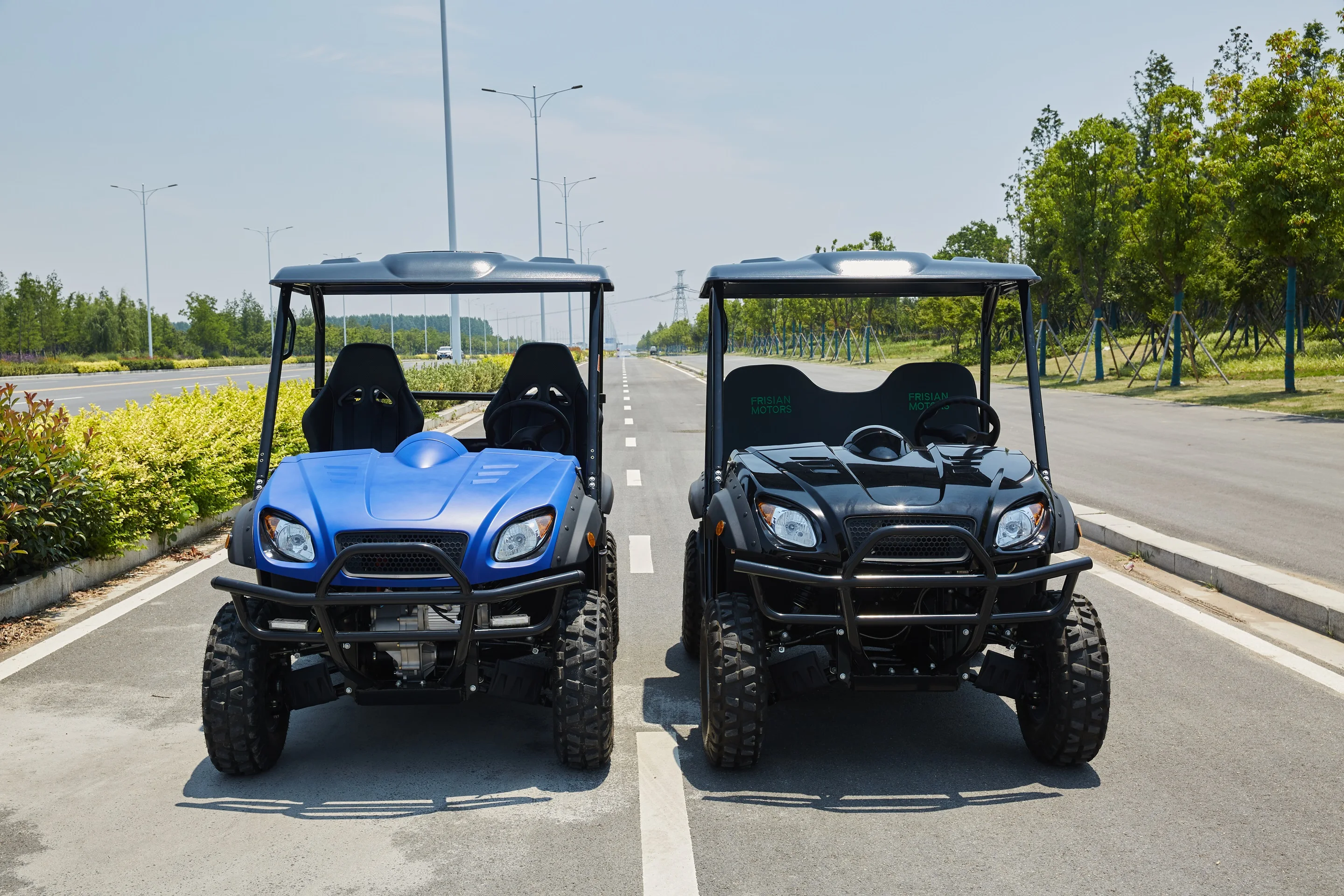 5 кВт/8 кВт Двухместный Электрический грузовик UTV 4X4 с EEC