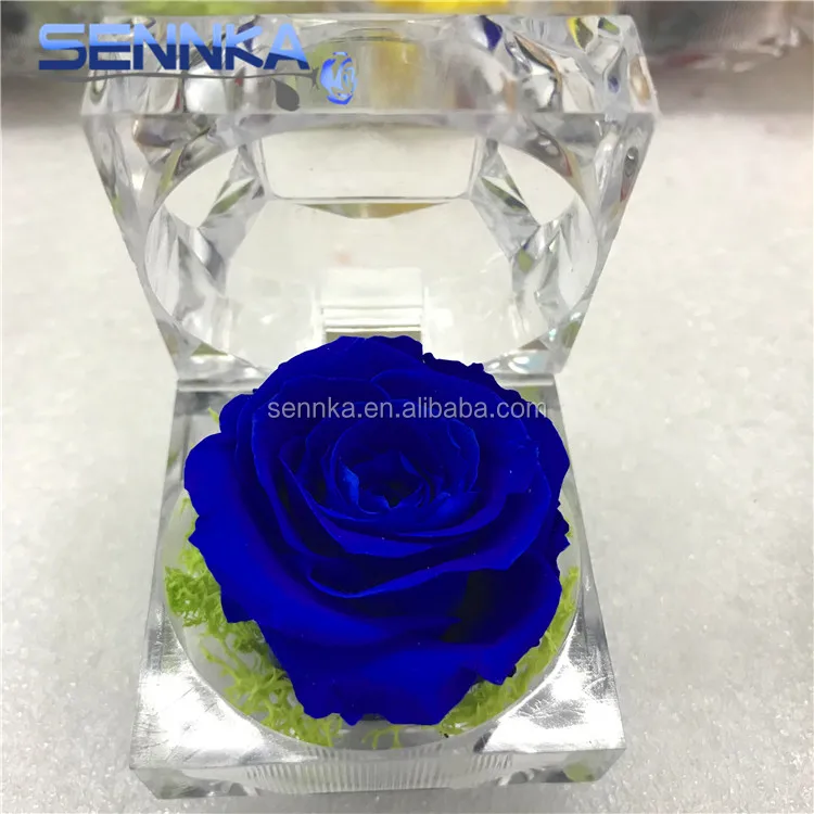 
Wholesale High Quality Preserved Everlasting Ring Box Preserved Rose For Wedding 