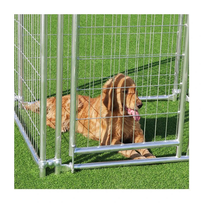 Large galvanized and welded dog kennel building with fight guard divider