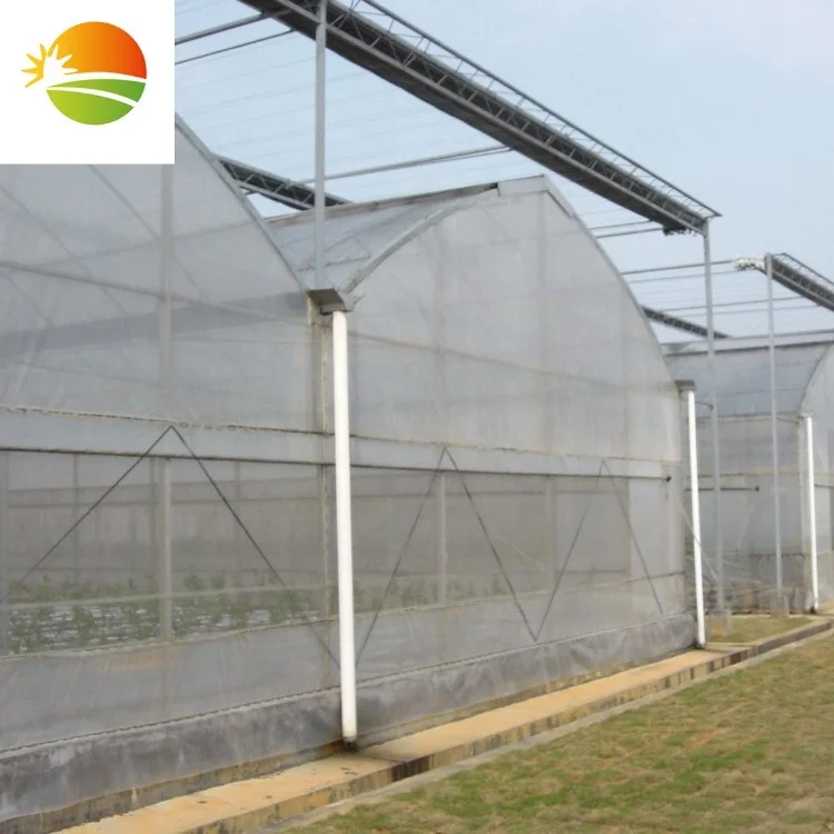 Agricultural greenhouse price wholesale low cost multi-span plastic greenhouse