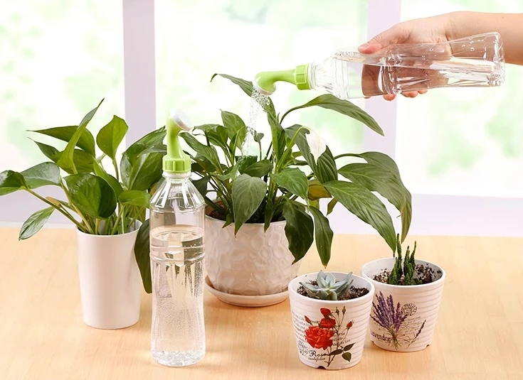 Small watering pot nozzle watering flowers potted plants flower sprinklers gardening flower home water succulent drench