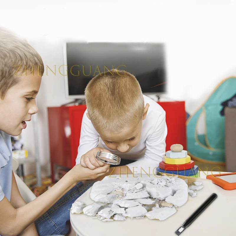 Zhengguang Dinosaur Dig Kit for Kids Dino Fossil Skeleton for Children Excavation Science Education DIY Toys