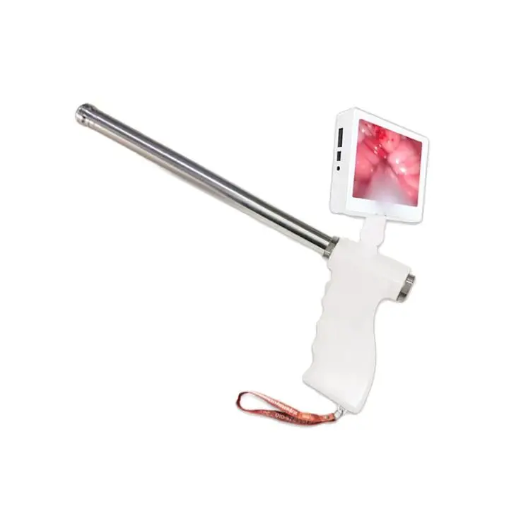 High Quality Insemination Tools For Cow Breed Artificial Insemination Gun For Cattle Veterinary Insemination Instrument