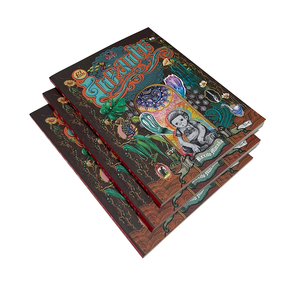 Top High Quality Wholesale Custom Printed Full Color Book Children Kids Novel Comic Book Printing Service