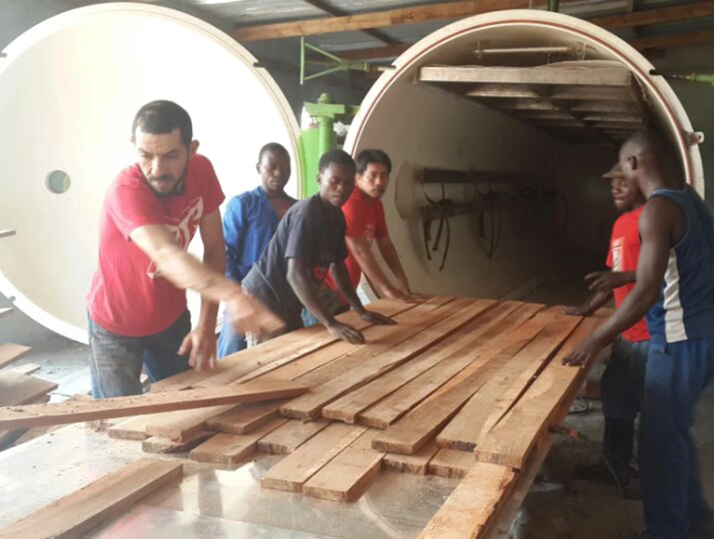 Сушильная машина для дерева Сага HF, вакуумное сушильное Оборудование для дерева, сухая камера для электрического пиломатериалы