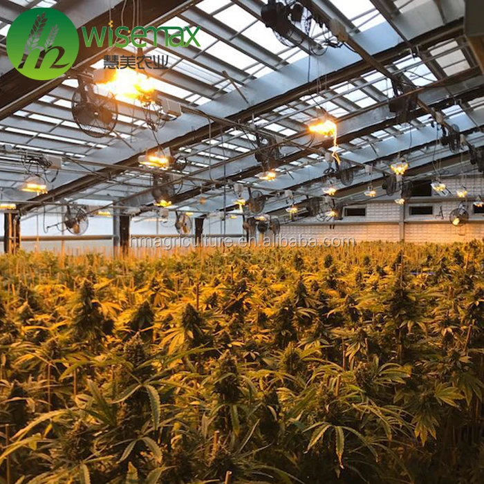 Industrial chemical hemp blackout autoimated light dep greenhouse kit