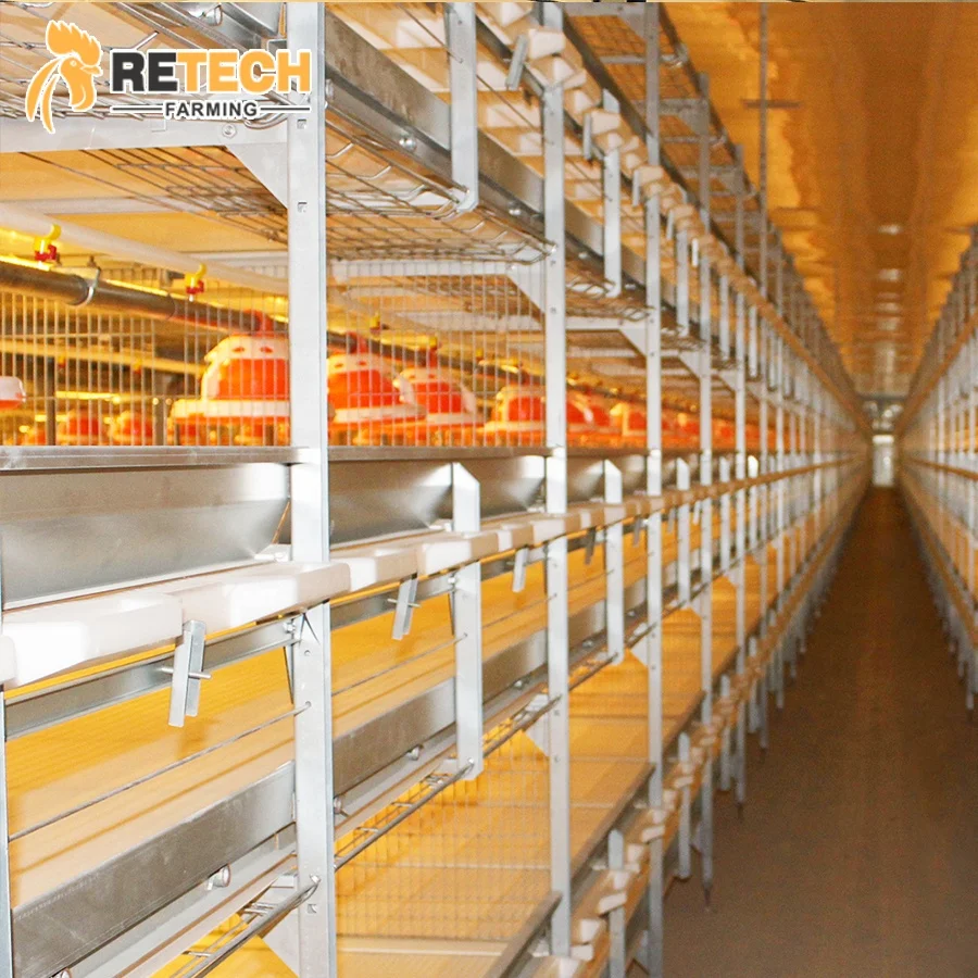 High Quality Automatic H Type 4 Tiers Broiler Chicken Cages for Poultry Farm