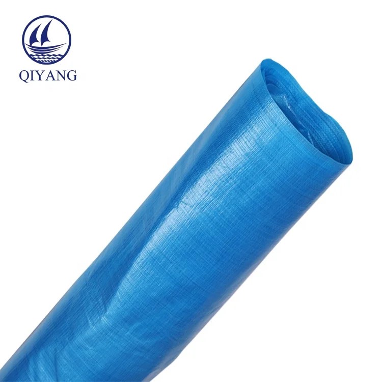 Waterproof Transparent Clear Mesh Tarp Tent Plastic Tarpaulin Roll Sheet