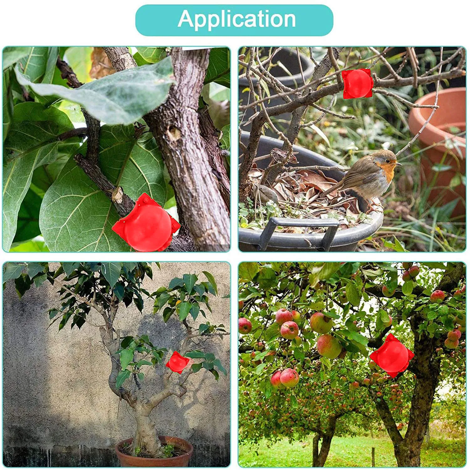 grafting rooting device garden breeding case cutting rooting ball plant clone balls earth boxes for growing vegetables