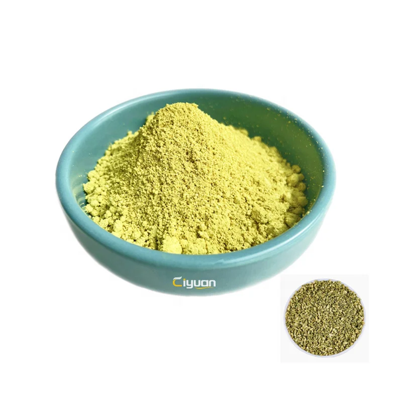 Ciyuan Factory Supply Hot Sale Sophora Japonica Extract Powder 95%~99%