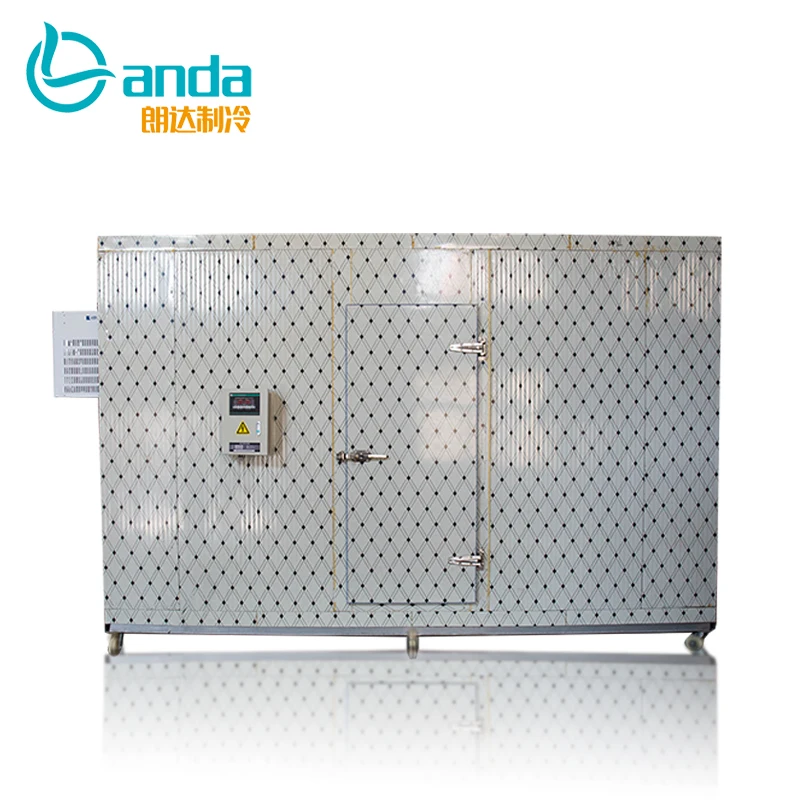 Blast Freezer Equipment Cold Store For Fruit And Vegetables Cool Storage Room Modular Cooler room