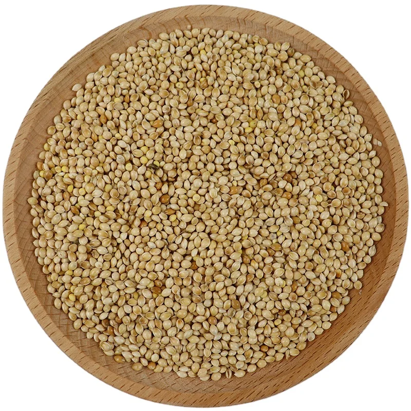 Hot Selling Wholesale Cheap Price Good QualityRich in protein Broom Corn Millet