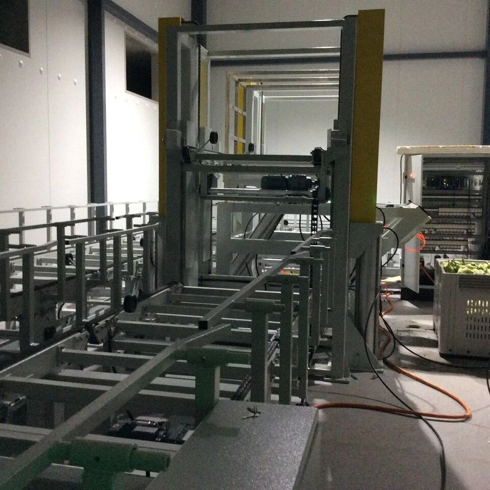 Custom Chain Conveyors Custom Conveyor Solutions