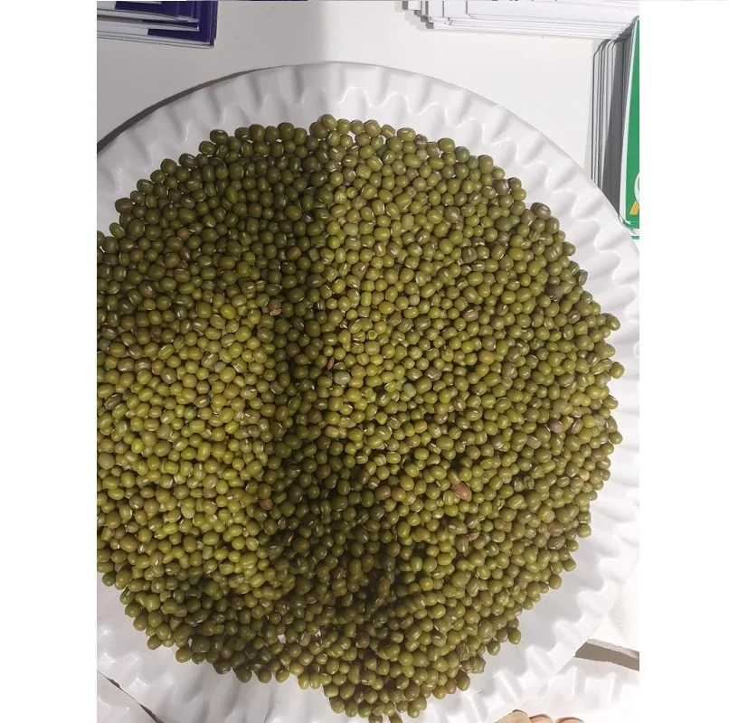 High Quality And Hot Seller Green Mung Bean For Wholesale