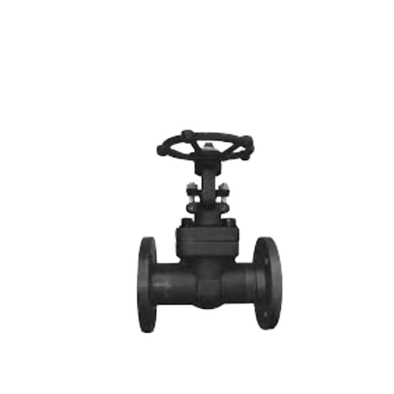 carbon steel/hydraulic actuator/iso/sw/pn16/ss304/steam/quick close/china manufacturer/Forged Steel Swing Check Valve