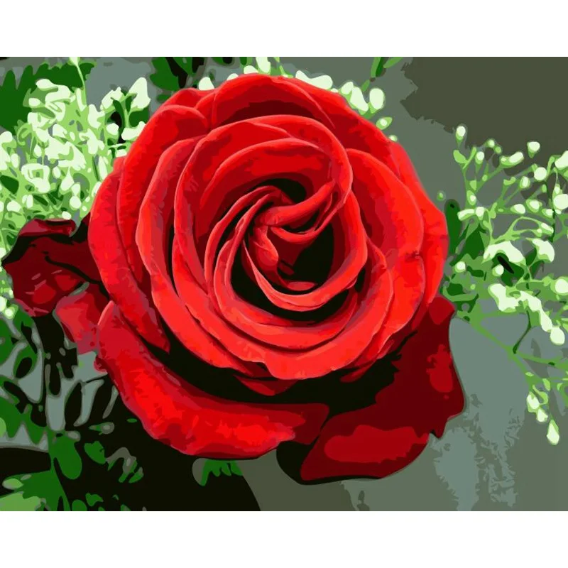 Wholesale Custom Hand Painted Oil Painting DIY Paint by Numbers Kits red rose flower painting wall frame picture