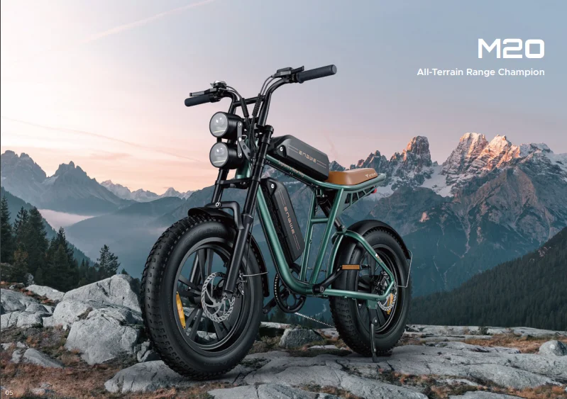 Original ENGWE M20 750W 20*4.0 inch fat mountain tires electric bicycle 25km/h Disc Brake Adult Fat ebike in EU US Warehouse