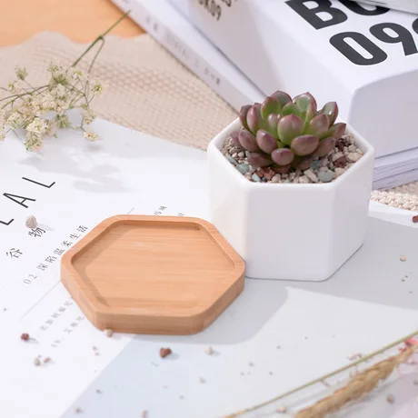Шестигранные маленькие белые горшки для суккулентов с бамбуковым лотком, геометрический контейнер-держатель для растений С КАКТУСОМ