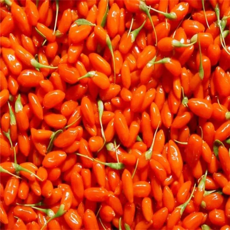 Organic Qinghai Goji Chinese Wolfberry Natural Dried Organic Goji Berry