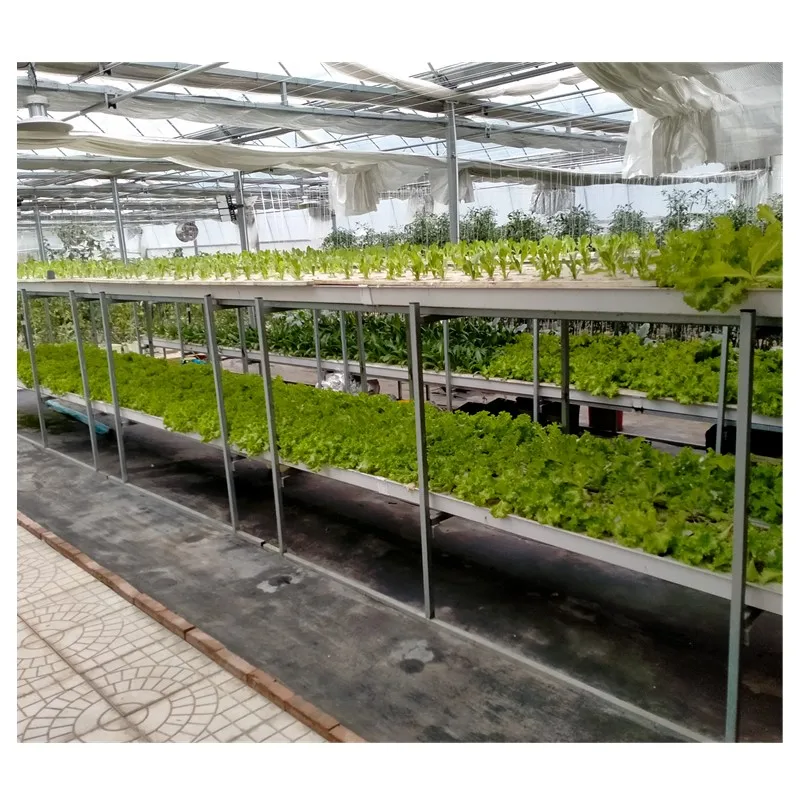 Китай, плавающая Гидропоника Для глубоководной культуры, гидропоника DWC, теплица для гидропоники
