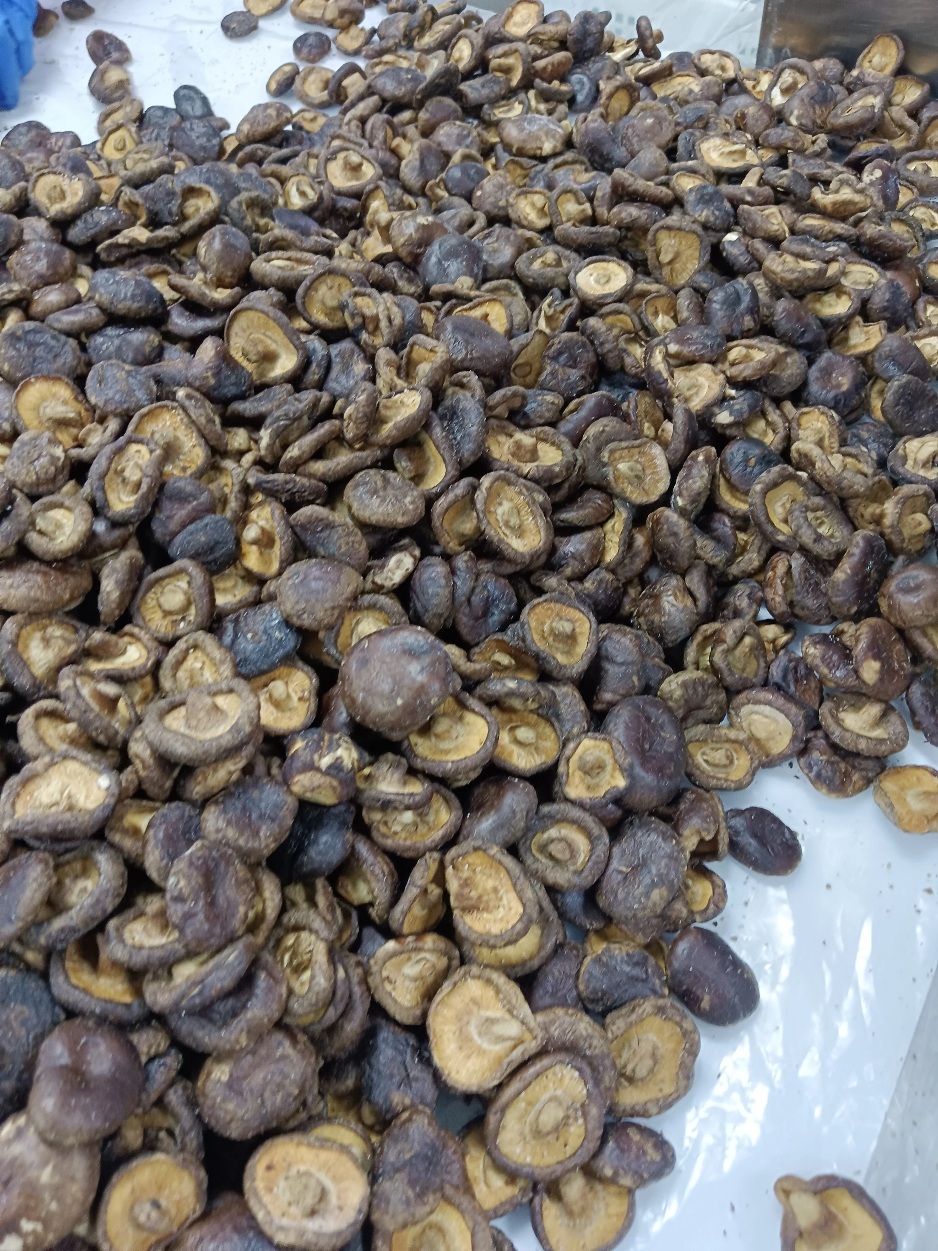 DETAN  Wholesale Fruit and Vegetable Snacks Crispy Vacuum Fried Seafood Mushroom Chips