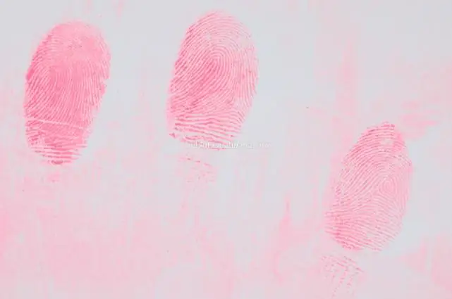 No.2024 Red Fluorescent Fingerprint Powder